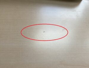 春風に乗ってやってきた妖精の決定的写真